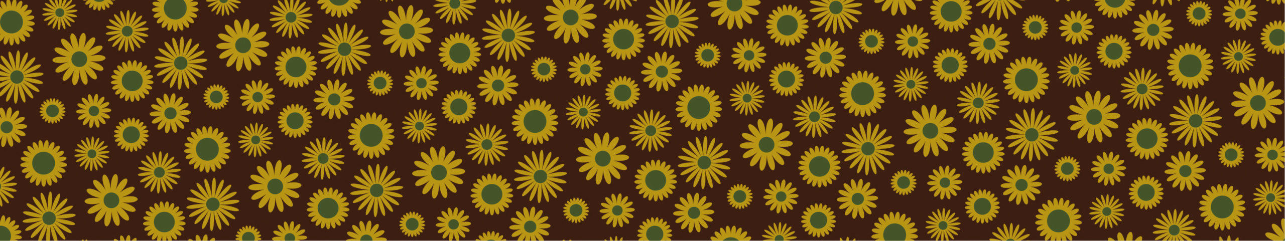 002523s_IBC_Daisies 2024