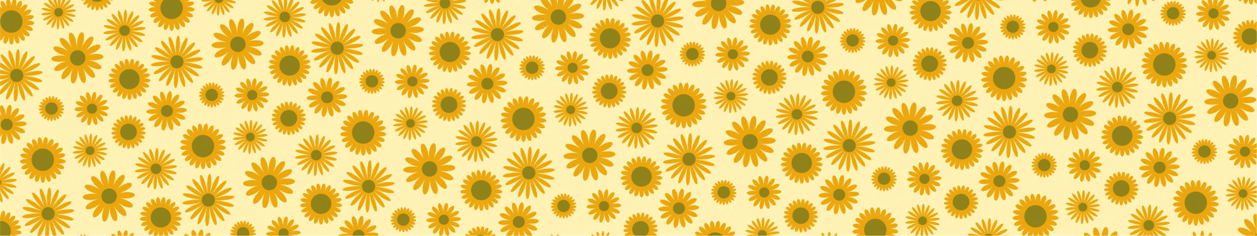 002523s_IBC_Daisies 2024